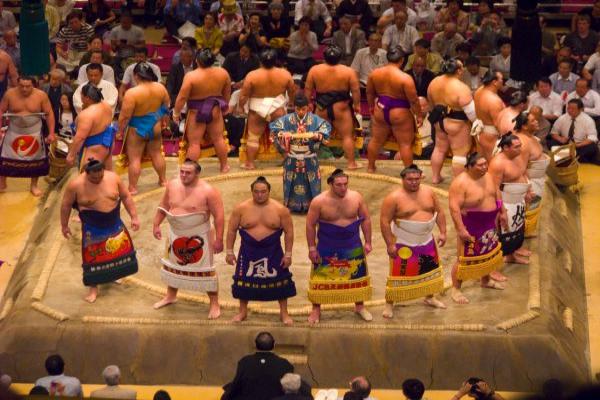 Zahajeni sumo